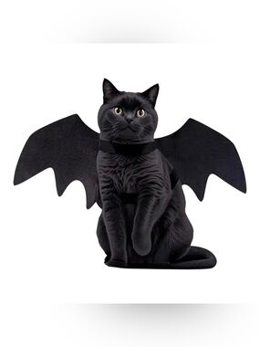 Black Bat Wings Costume Cat Kitten Halloween Pet Costume New